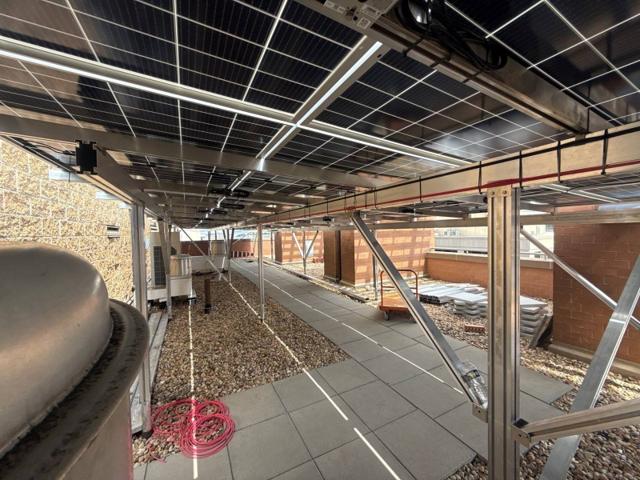 Paved walkway beneath the solar canopy at 616