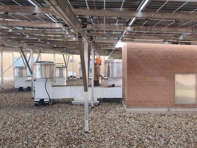 Beneath the solar canopy at 616, beside a brick penthouse