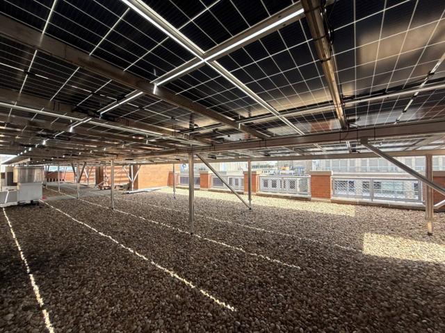 Open gravel roof beneath the solar canopy at 616