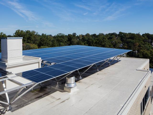 Solar canopy on the roof of Kenmore, with treetops beyond